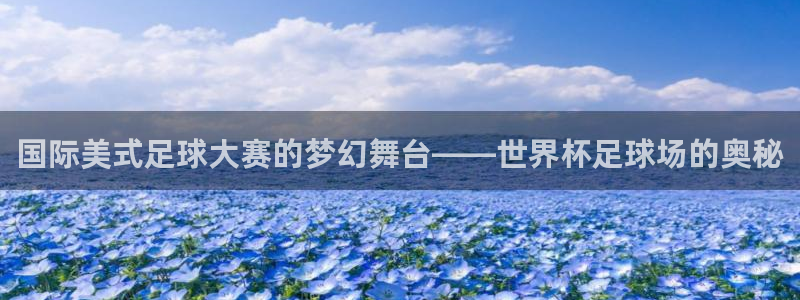 巅峰国际下载链接