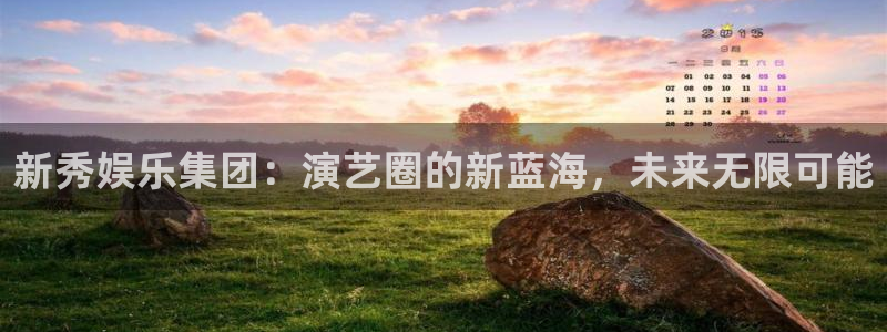 巅峰国际最新版下载入口官网
