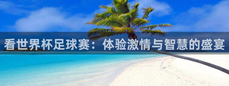 pg软件巅峰国际